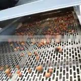 Taizy Palm nut hazelnut shelling machine almond dehulling machine