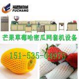 Epe Fruit Mesh Extruder Machine thumbnail-5