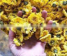 Chrysanthemum Tea Extracted From Chrysanthemum Flower the Optimal Choice for Your Health From Vietnam thumbnail-3