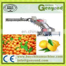 Fruit & Vegetable Washing/drying/waxing/sorting Line/machine/fruits Processing Plant thumbnail-2