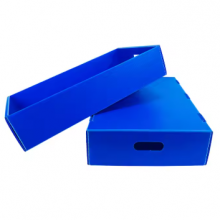 Custom PP Corrugated Plastic Seafood Packaging Boxes for Fish & Shellfish Transport thumbnail-3