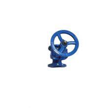 Anti-Theft BS Rising Stem Gate Valve With Protective Cover, Dust and Water Resistant Design thumbnail-3