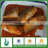Canned Mackerel in Tomato Sauce 425g thumbnail-1
