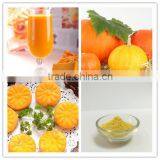 100% natural spray dried pumpkin powder