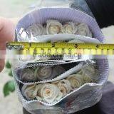 Top Grade Vendela White Rose for Wedding thumbnail-1