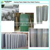 Galvanized Welded Wire Mesh for Buildings(supplier) thumbnail-2