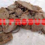 Indian 100% Pure & Natural Kapur Kachari Oil