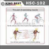 KING BEST Popular 2-SECTION Nordic Walking Stick Carbon Trekking Pole Walking Nordic Walking Stick thumbnail-4