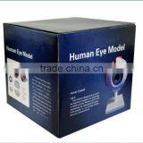 Eyeball Enlargement and Anatomy Structure Model Teaching Medical Biology Science and Education Instrument 6 Times 3 thumbnail-6