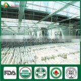 Mushroom Spawn for Sale,Shiitake Mushroom Spawn Wholesale Supplier thumbnail-3