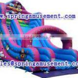 Personal Tailor Donald Duck Inflatable Water Slide, Inflatables SP-SL093