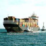 Sea shipping logistics agent and CIQ agent to Damietta of Egypt from Shanghai Hunan