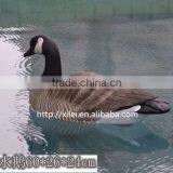 High Quality Plastic Canada Hunting Goose Decoy