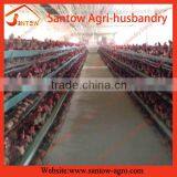 Cheap Automatic Door Chicken Coop thumbnail-6