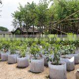 Plantinggreenbag ,tree Bag thumbnail-2