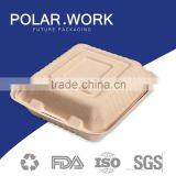 Environmental Disposable Paper Pulp Food Packaging