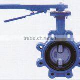 DN50-DN600 PN16/PV25/CLASS 125/CLASS250 Cast Iron Double Half Stem Wafer Butterfly Valve thumbnail-1
