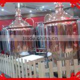 Stainless Steel 7bbl Fermentor Mini Beer Fermenter