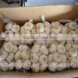 Chinese Fresh White Galic thumbnail-2