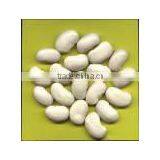 WHITE KIDNEY BEANS thumbnail-1