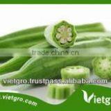High Yield OP Okra Gumbo Pods Lady's Finger Seeds VGO 04/ Vegetable Seeds thumbnail-1