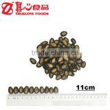 Export Watermelon Seeds Market Price thumbnail-1
