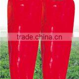 China Red Ox-horn Pepper Seed Super Red No.5 thumbnail-1