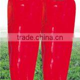 China Red ox-horn Pepper seed Super Red No.5