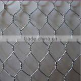 Anping Shengyang Professional Manufacturer Zinc Coated Chicken Wire Mesh