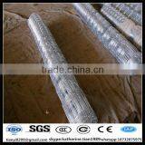 Hot Dipped Galvanzied 2m Height Steel Field Prairie Wire Mesh