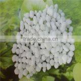 Ammonium Sulphate Granular thumbnail-1