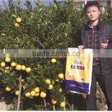 Fulvic Acid Fertilizer thumbnail-4