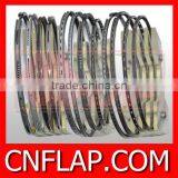 Gasoline Generator Piston Ring