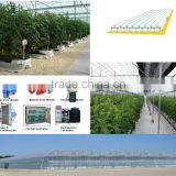 NFT, Soilless and Substrate Based Hydroponic Systems thumbnail-2