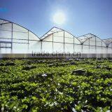 uv Blocking PC Sheet Covered Greenhouse Used For Vegetables thumbnail-2