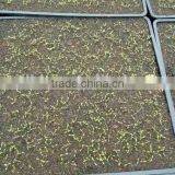 Gardening Supplies Seed Starter Trays thumbnail-2