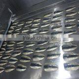 Frozen Sardine Fillets ,double Fillets /skin on Boneless PBO thumbnail-2