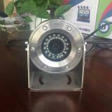 Mini IR Explosion-Proof HD Security Surveillance IP Camera for Marine, Gas Station thumbnail-4