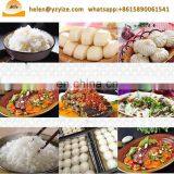 Stainless Steel Gas Rice Roll Steamer Rice Steaming Plant thumbnail-3