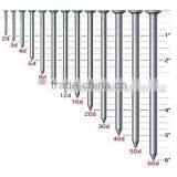 Oversea Service Common Nail Making Machine thumbnail-4