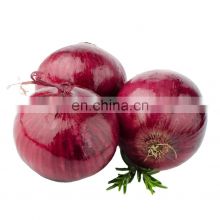 shandong direct factory vegetables iqf frozen onion hot selling delicious quality