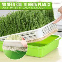 Sprout Growing Trays Plastic Plant Trays Wholesale Microgreen Sprouting Trays Planting Flat Trays thumbnail-4