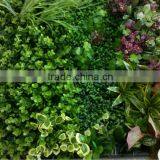 Plant Garden Plants Wall Decoration,cheap Wall Plant thumbnail-1