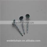 BWG9X3" UMBRELLA ROOFING NAILS