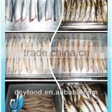 Cooked Macherel Fish thumbnail-5