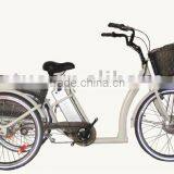 Electric Tricycle T01-2