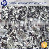 Oysters and Pearls of India Granite Polished Oyster Pearl Stone Price