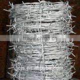 Galvanized Barbed Wire