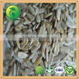 Sunflower Kernels Human Consumption thumbnail-1