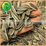 Vegetable Sunflower Seeds Oil For Human Consumption thumbnail-2
